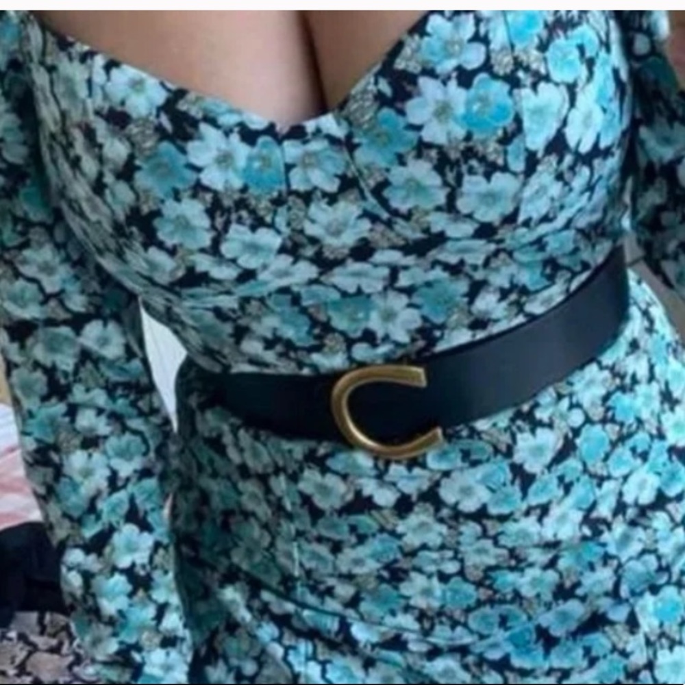 Gold vegan leather gold buckle high waisted belt - Picture 5 of 10